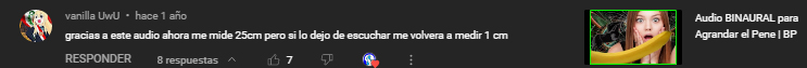 comentario